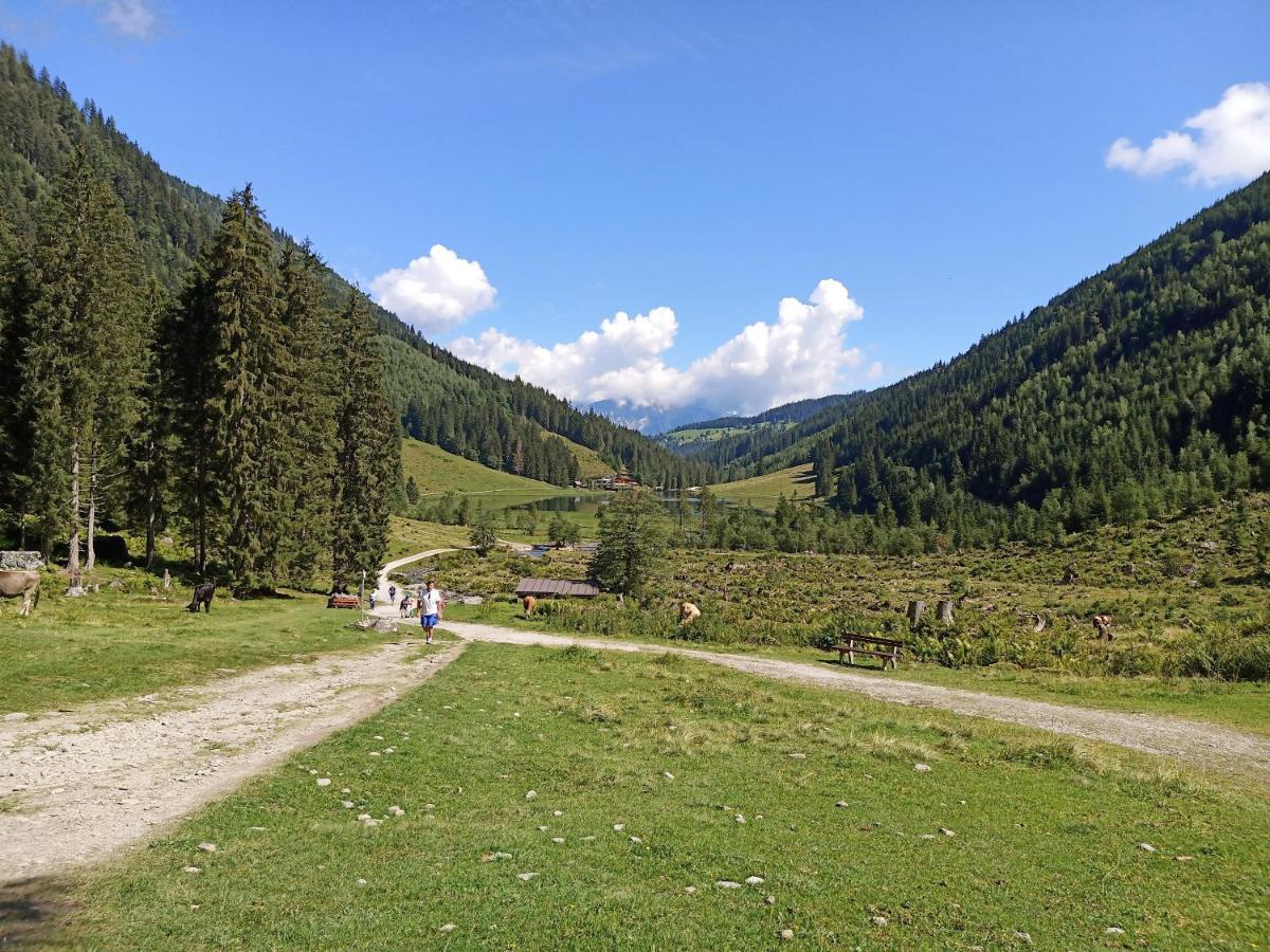 Ferienwohnungen Reinbacher - Primps ชลัดมิง ภายนอก รูปภาพ