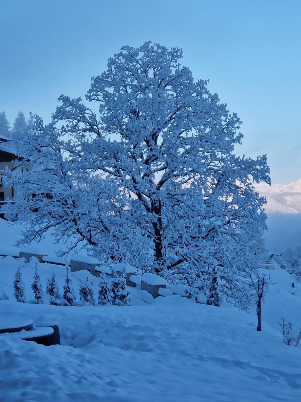 Ferienwohnungen Reinbacher - Primps ชลัดมิง ภายนอก รูปภาพ