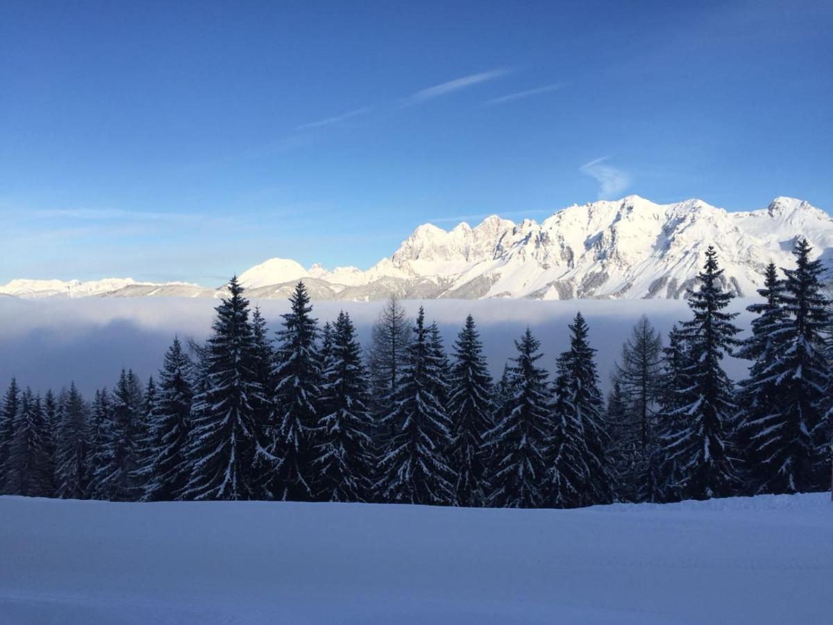 Ferienwohnungen Reinbacher - Primps ชลัดมิง ภายนอก รูปภาพ